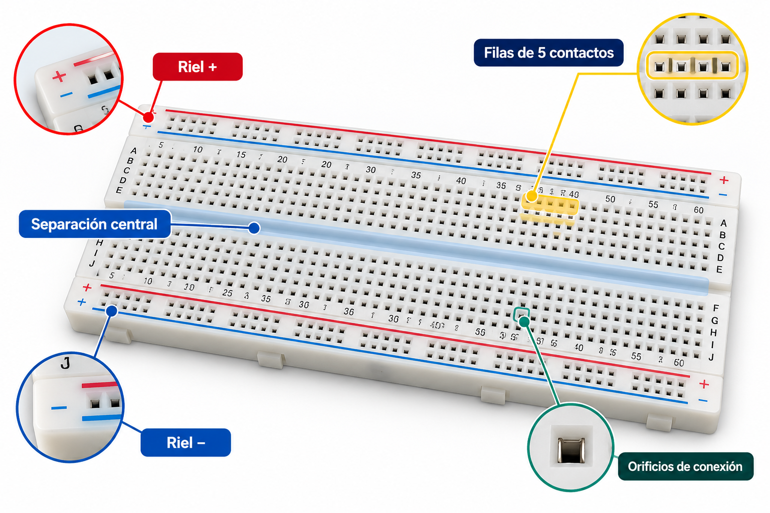 Partes y conexiones de una protoboard